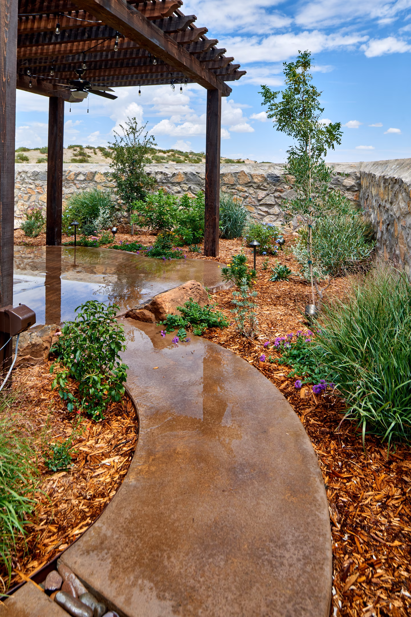 Colonial Bluff Backyard Makeover — GO DESIGNS El Paso, photo 9