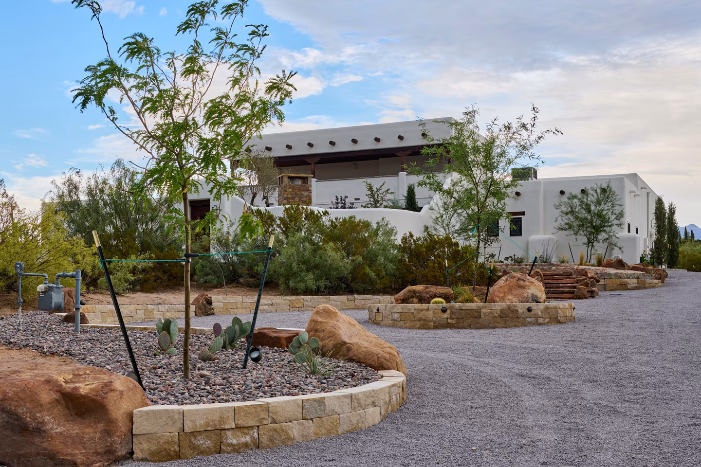 Sage Avenue Desert Landscape — GO DESIGNS El Paso, photo 18